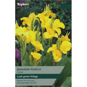Canna Banana Punch